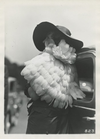 Unknown woman with a feathered top and hat, Frères Séeberger photograph (thumbnail)