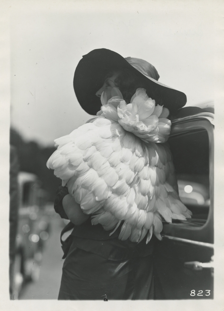 Unknown woman with a feathered top and hat, Frères Séeberger photograph